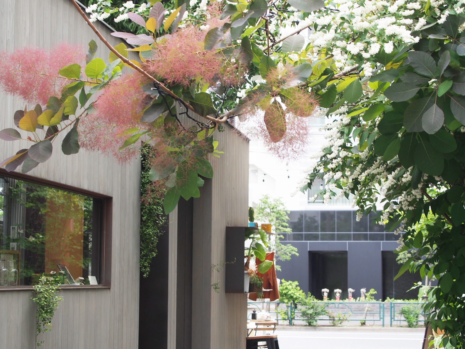 Plant Plant 東京でパリトリップ 花屋めぐりの中目黒へ