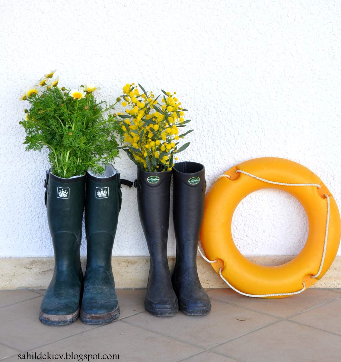 Sahildeki Ev Kırlarda&hellip;