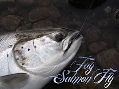 Tay Salmon Fly Website