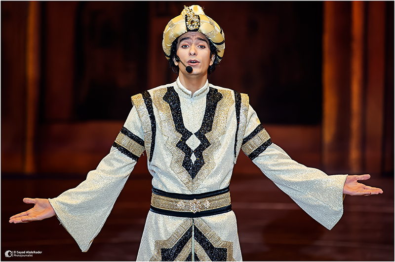 مسرحيات البيت الفني للمسرح مسرحية ليلة من ألف ليلة