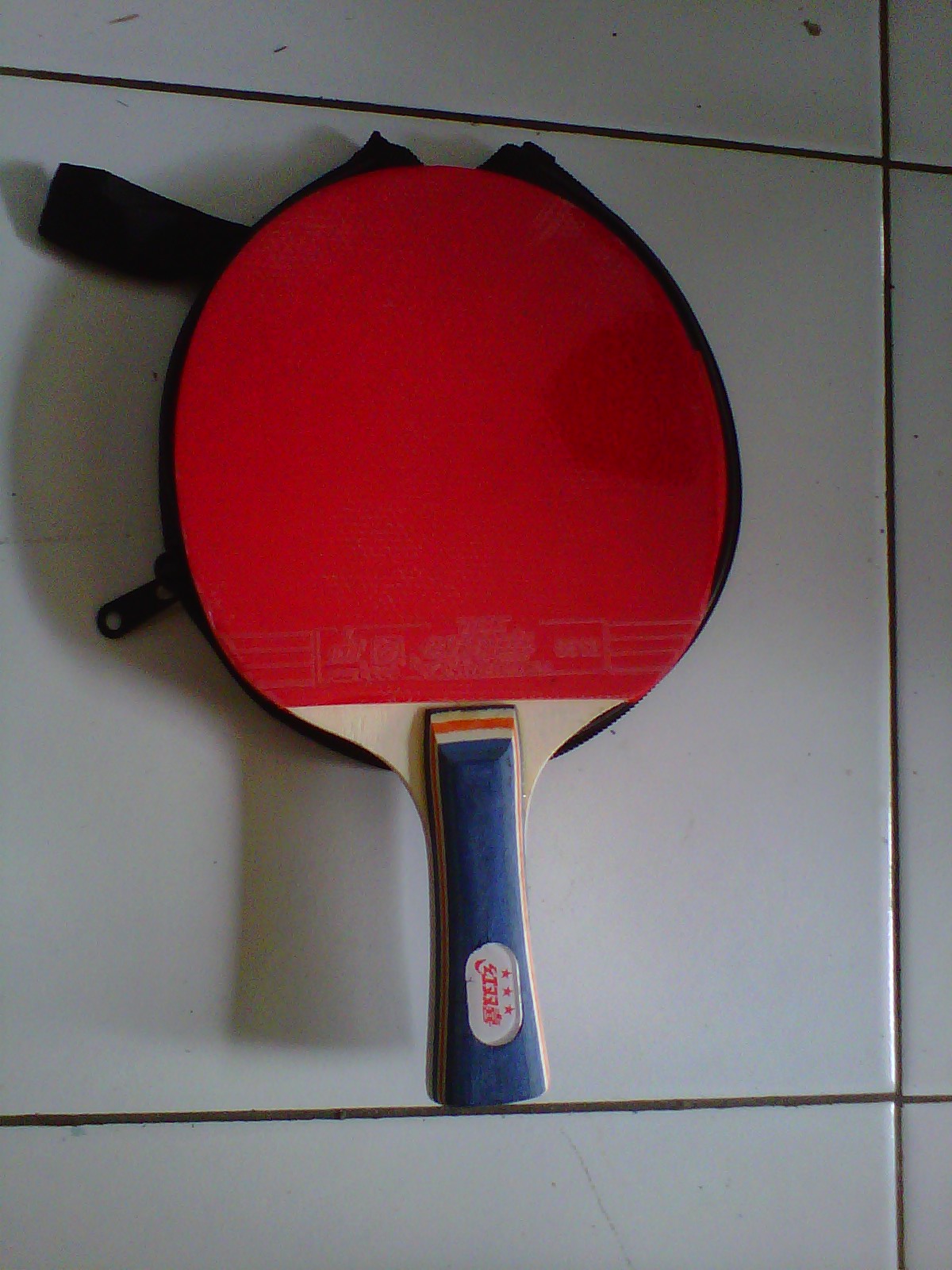 Raket Untuk Tenis Meja / Pingpong Brand DHS CVR - DASHA 