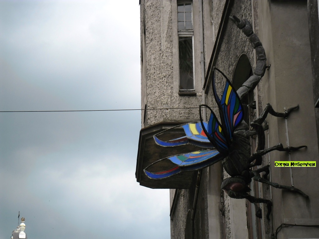 Corina Moscovich: P5. Wroclaw, Poland (Breslavia, Polonia)