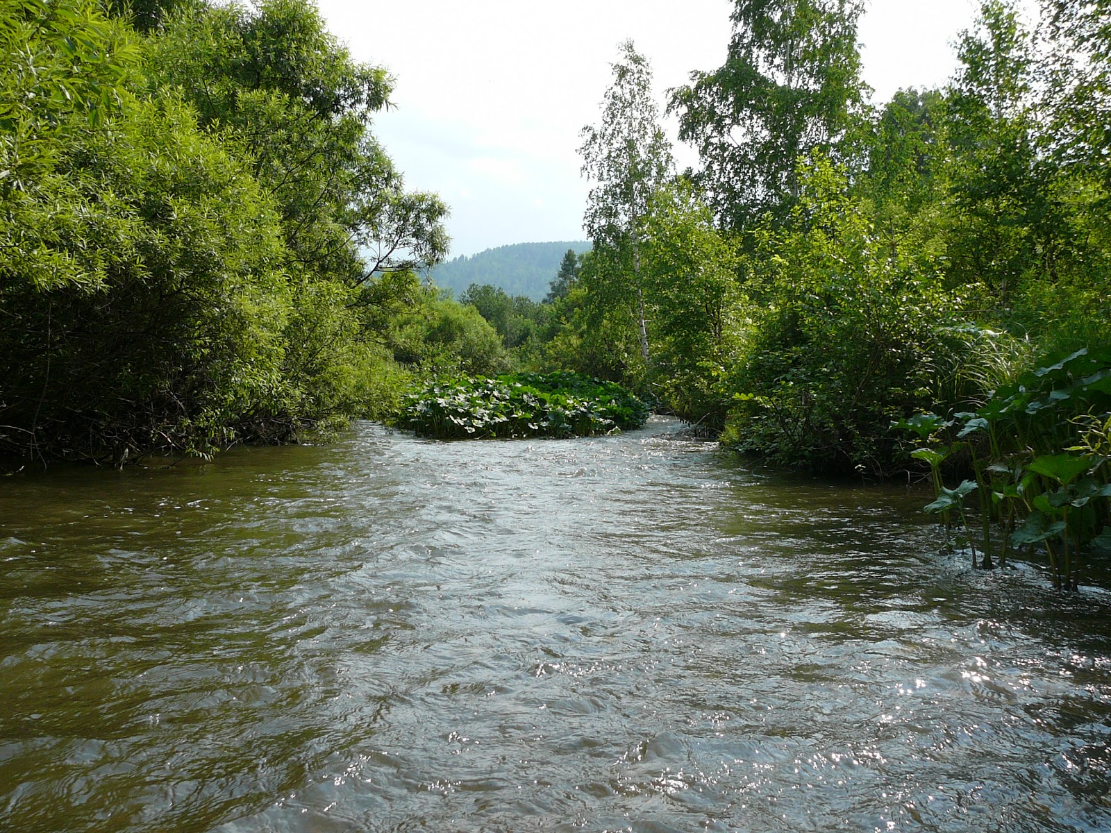 Река базаиха красноярск Река базаиха красноярск