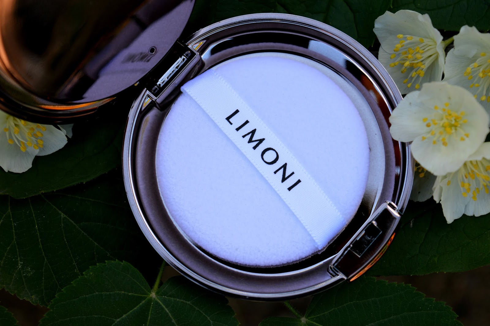 Ruta пудра компактная secret matte. матирующая пудра для лица рейтинг. пудра для лица рейтинг. пудра мейбелин аффинитон оттенки. хорошая пудра для жирной кожи с матирующим эффектом.