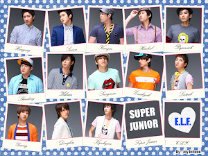 My 1st K-POP Idol - Super Junior