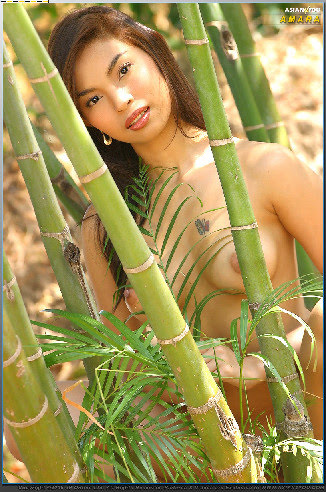 Re Asian4you A4U_Asian_Babes_Database_Nude_Thailand_Naked_Girls_Asian_Hardcore_Porn_CD45