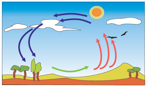 Alternativas para Cuidar el Medio Ambiente: EL AIRE