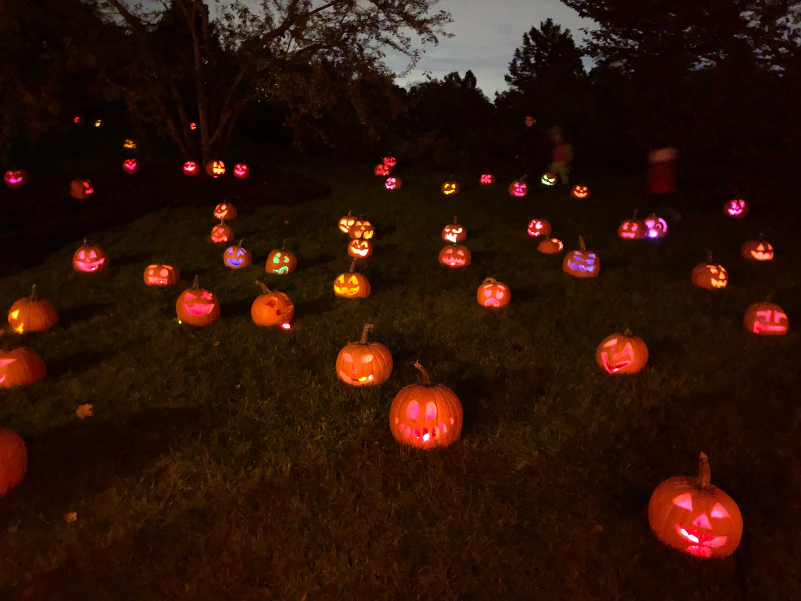 Every goddamn day 01/22/24 Night of 1,000 JackOLanterns