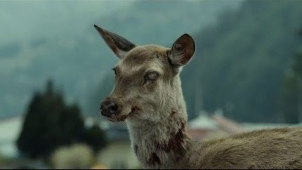 Alerta por “enfermedad zombi” en Estados Unidos. Alerta por “enfermedad zombi” en Estados Unidos.
