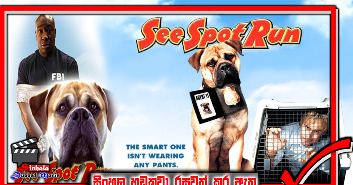 See Spot Run HD see-spot-run-hd