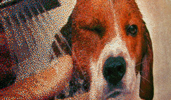 beagle portrait made of candy nonpareils, detail