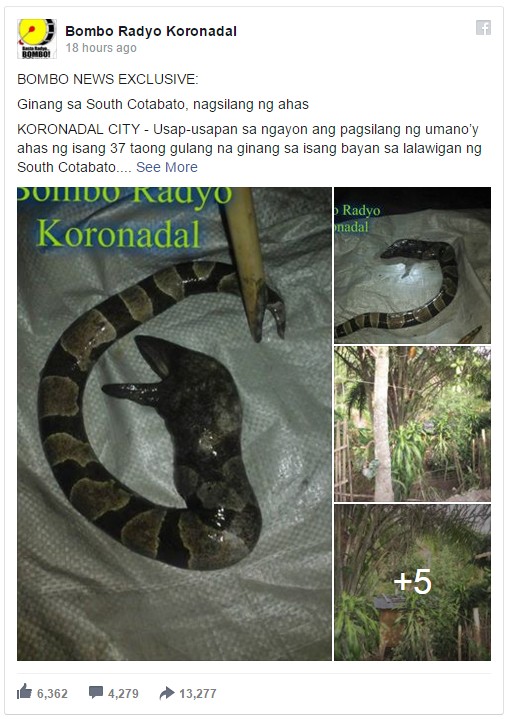 Woman Gives Birth to a live Snake in Koronadal City