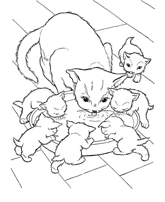Desenho de Gatinho bebe leite para colorir