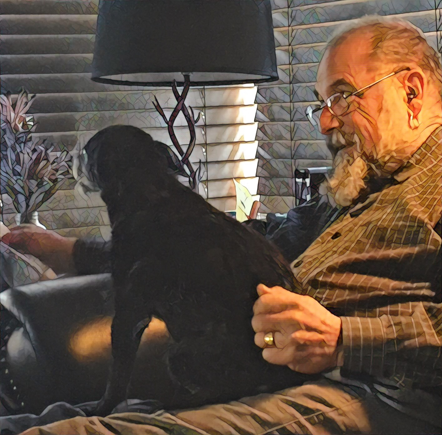 everyday sights: 2017