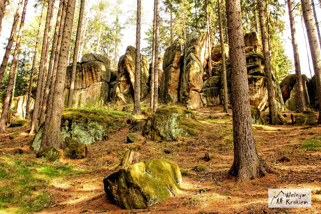 Rezerwat Przyrody Głazy Krasnoludków - kamiennogórskie skalne miasto