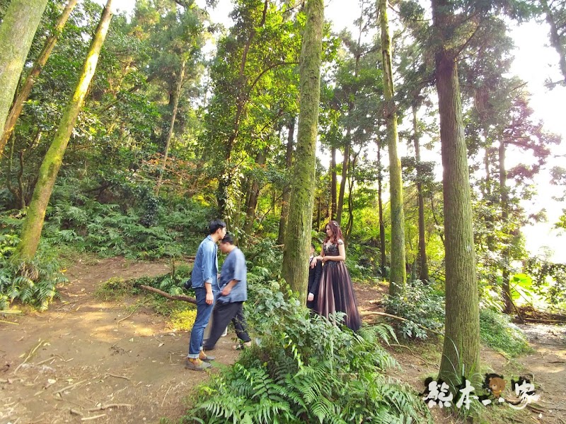竹子湖黑森林(小溪頭)|陽明山婚紗熱門拍攝景點|仿如童話森林場景
