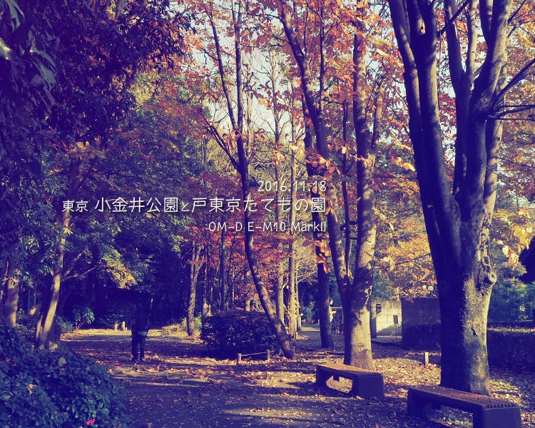 小金井公園と江戸東京たてもの園