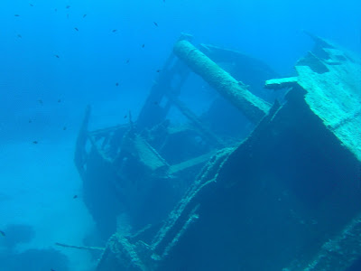 snorkeling sul relitto Relitto di Pomonte