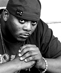 The Stan's - Slim Shady: D12