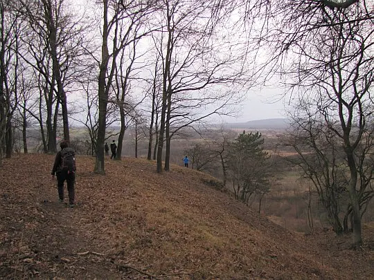 Stąd schodzimy do Jaskini Przegińskiej.