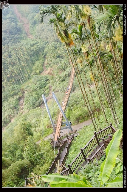 雲林古坑華山-小天梯情人橋