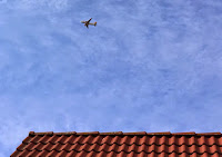 Unter Alten Platanen Bergblumengarten