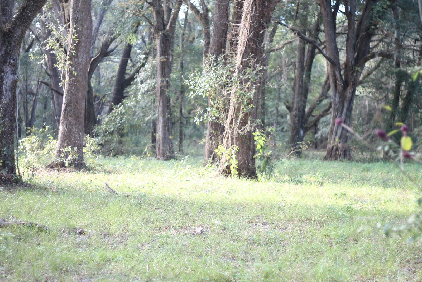 Surrounded-by-boys: Saying No....