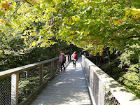 Der Wanderfreund 2018