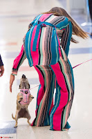 Priyanka Chopra in Colorful Jumpsuit arriving at JFK Airport New York 18 June 2017 ~ Exclusive 032.jpg Priyanka Chopra in Colorful Jumpsuit arriving at JFK Airport New York 18 June 2017 ~ Exclusive 032.jpg