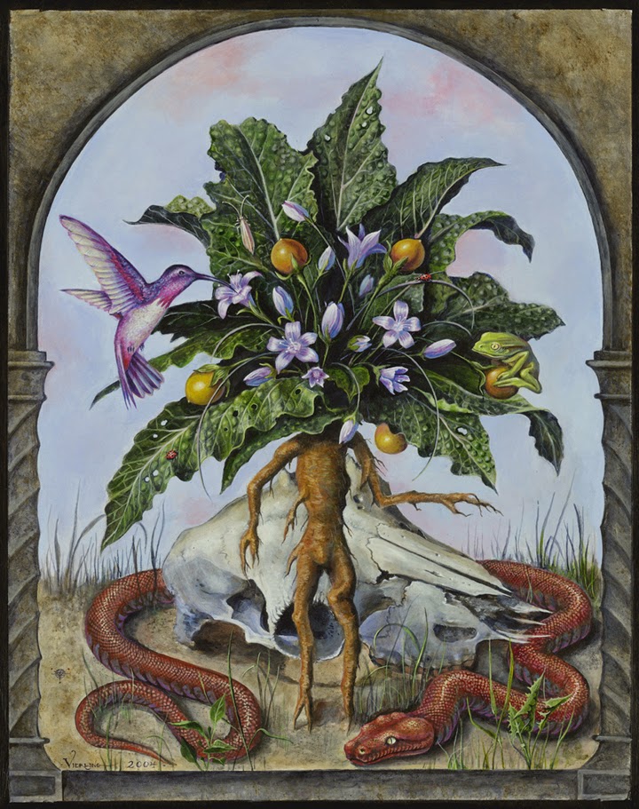 De Que Color Es La Fruta Mandragora