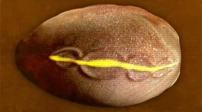 El inexplicable huevo cósmico portugués Master%2BSequence%2B%25281280-720%2529.Still036