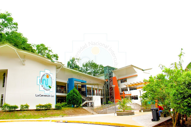 Universidad Nacional Intercultural de Quillabamba - UNIQ