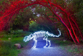 17-Leptoceratops-Darren-Pearson-Dinosaurs-Palaeontology-Skeletons-and-Angels-in-Light-Paintings-www-designstack-co