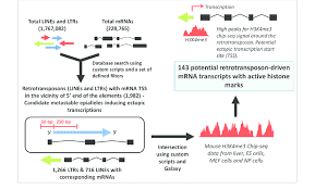 Script Identification Through Temporal Sequence Of The Strokes