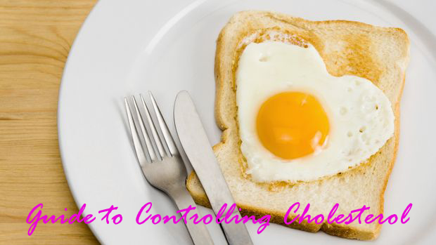 Guide To Controlling Cholesterol MYHEALTHI guide-to-controlling-cholesterol-myhealthi