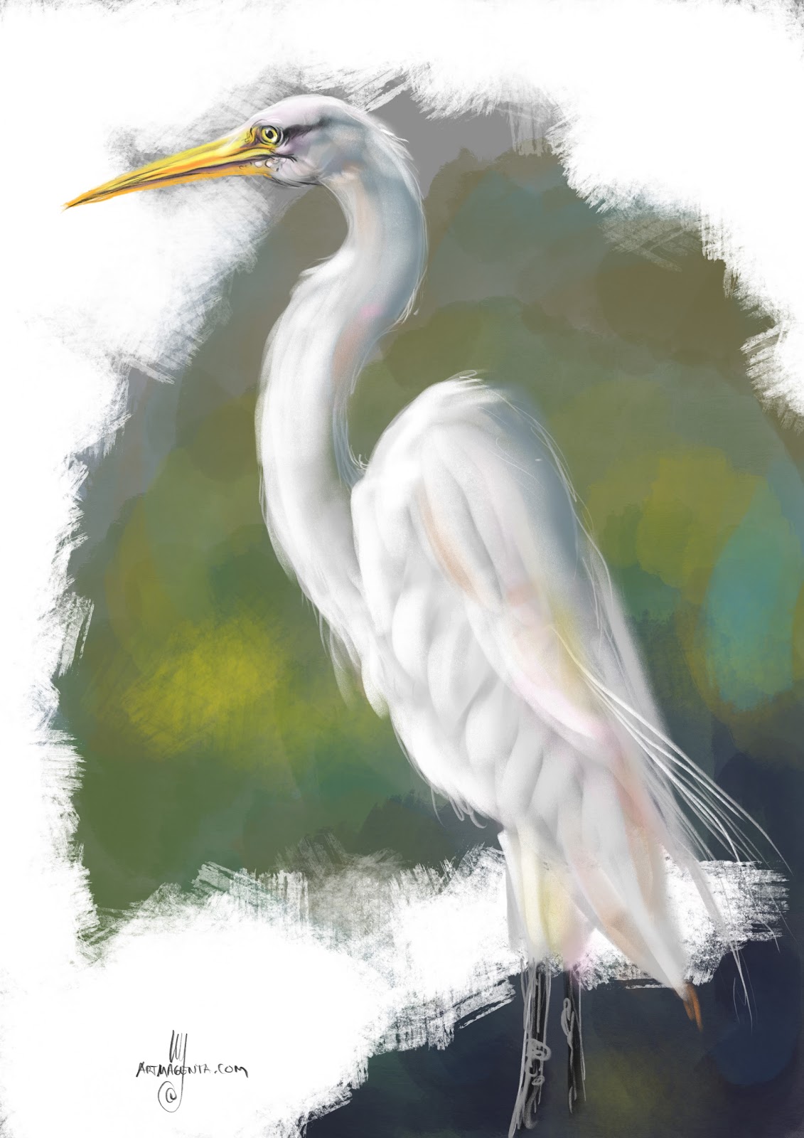 Birds: Herons