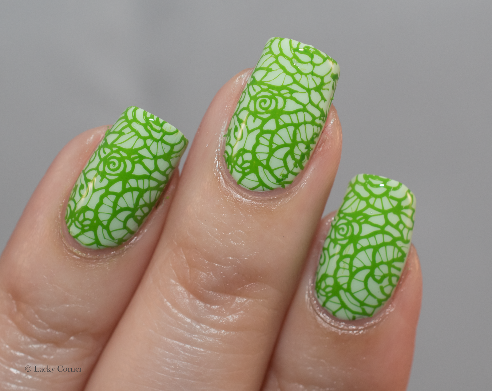 Lacky Corner Review Clear Jelly Stamper from Born Pretty Store