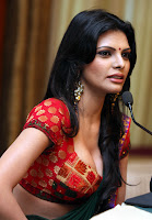 Sherlyn, Chopra, is, the, first, Indian, woman, on, adult, Playboy, magazine