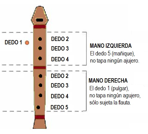 EDUCAR PARA LA FELICIDAD: NOTAS PARA LA FLAUTA DULCE