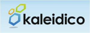 Kaleidico Detroit Search Marketing Service