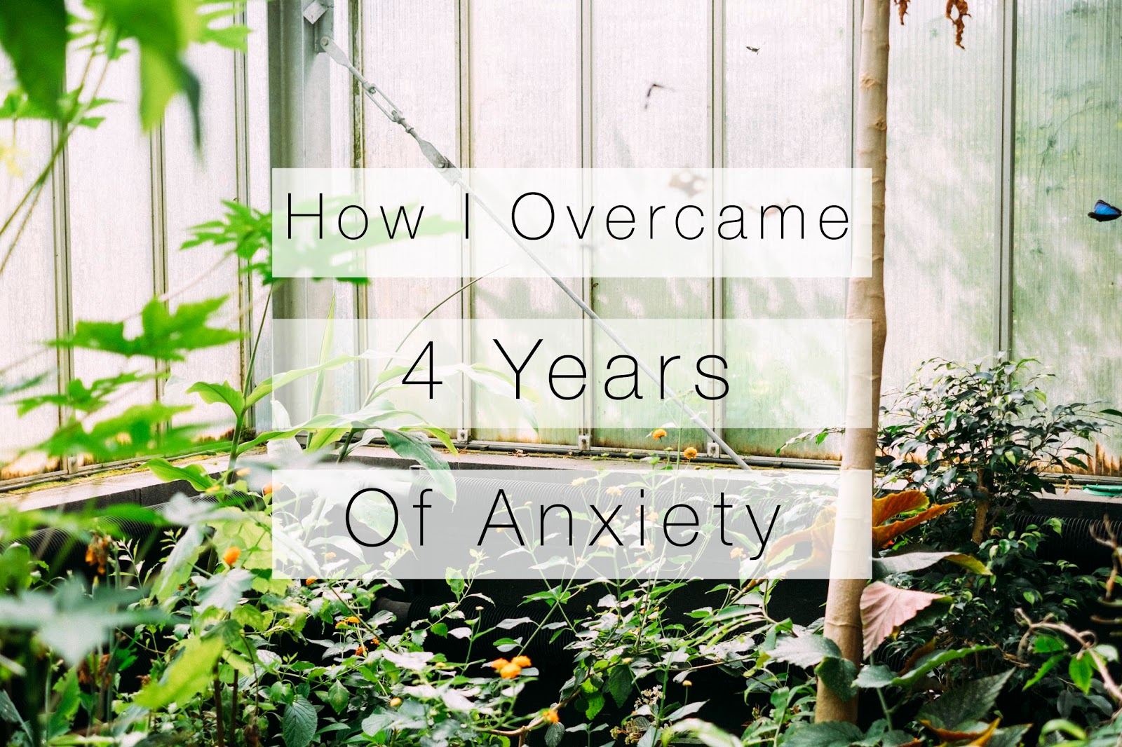How I Overcame 4 Years of Anxiety