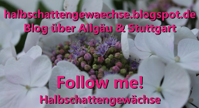 Partnersuche oberallgäu