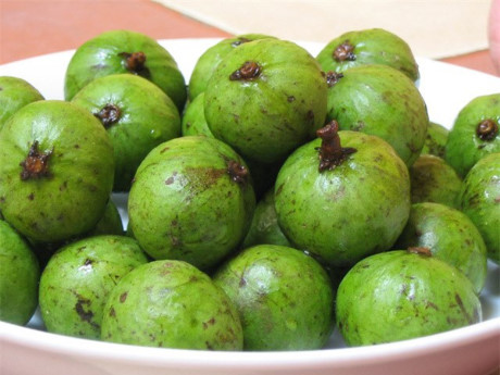 6 tac dung tuyet voi cua qua sau voi suc khoe khong nen bo qua - Anh 4