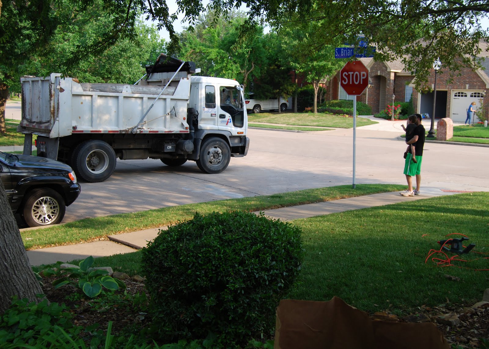 Momfessionals Mulch, Mulch and More Mulch
