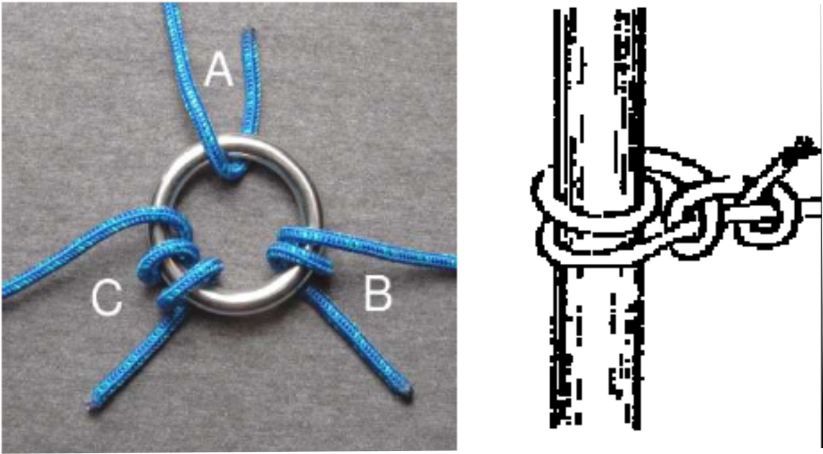 Demonstrate how to tie the following knots Reef knot, Sheet bend