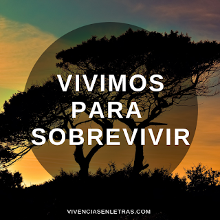 Vivimos para sobrevivir frases-reflexionar