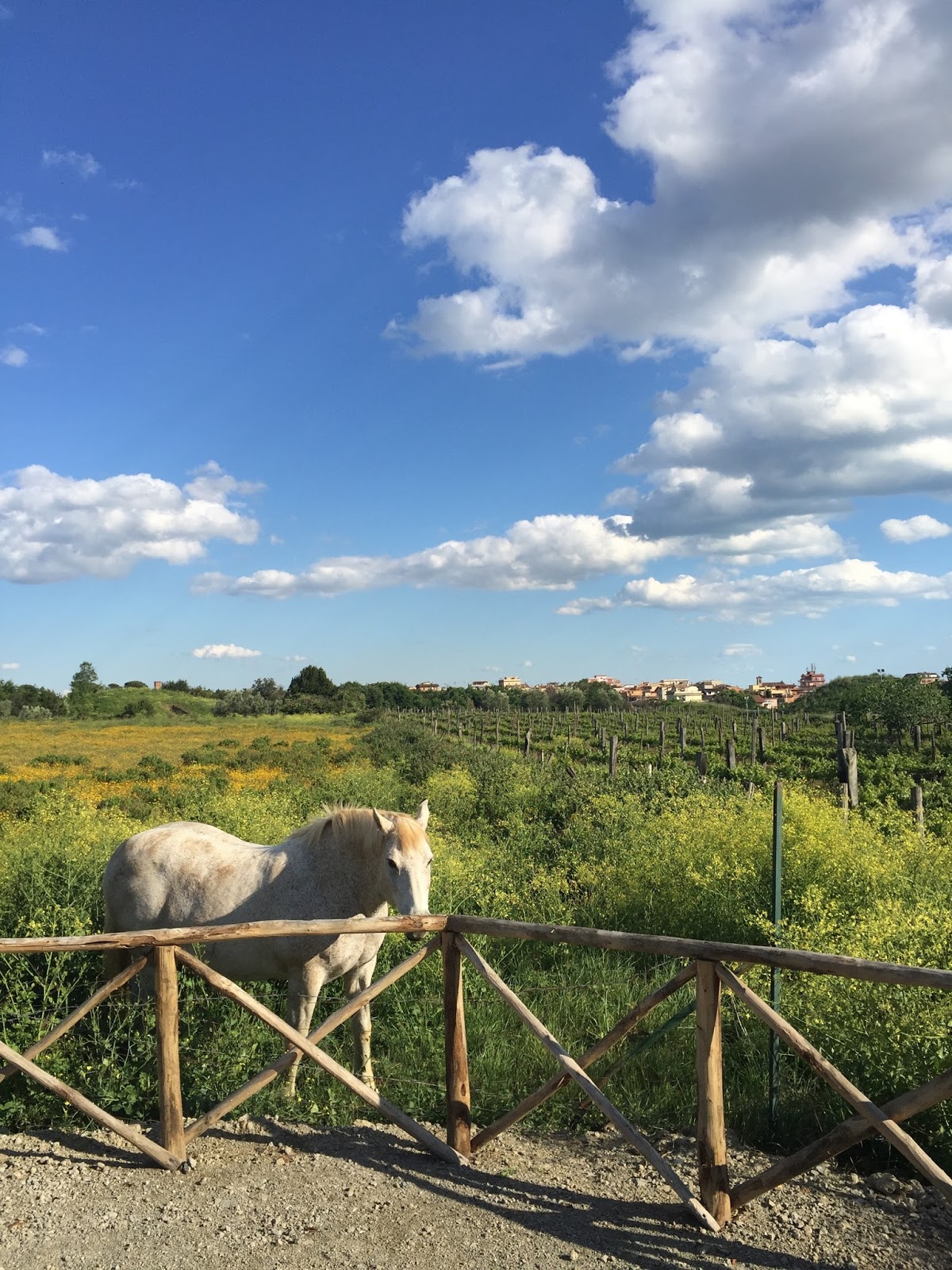 passionerad italienska daska passionerad italienska daska