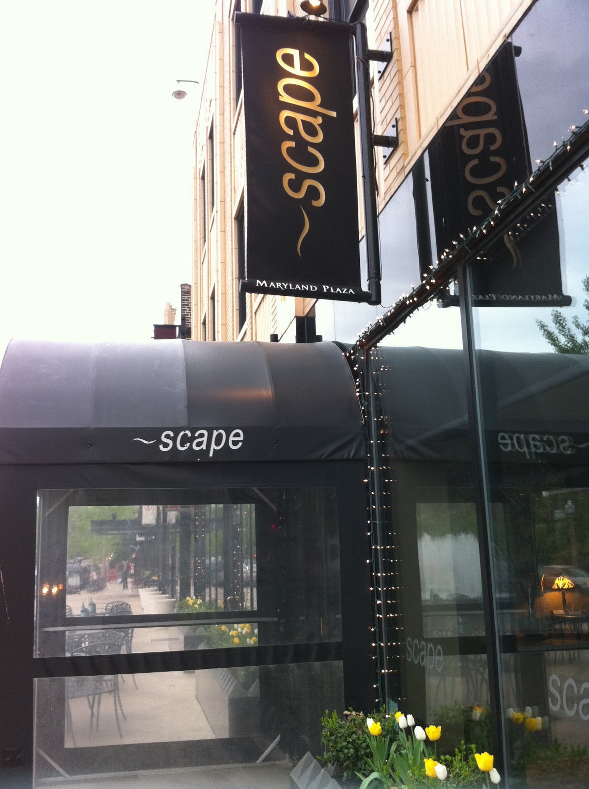 pat likes to eat: scape (2), st. louis mo