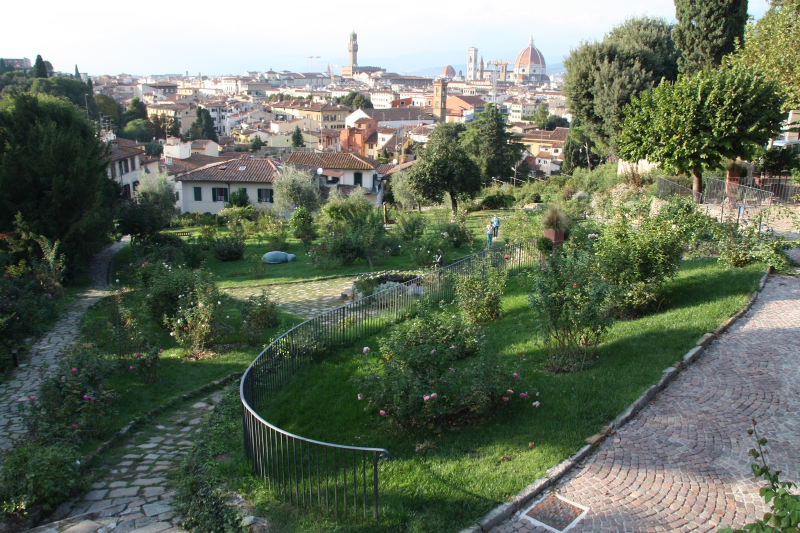 El muro vegetal: JARDÍN DE ROSAS, FLORENCIA