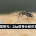 美国最新研究:兹卡病毒会破坏老鼠睾丸 造成不育